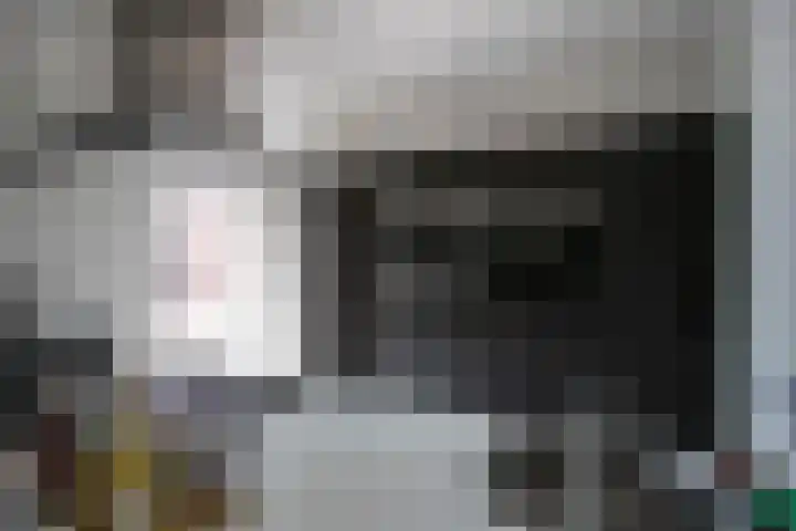 Dries 85 Weert thumbnail 11