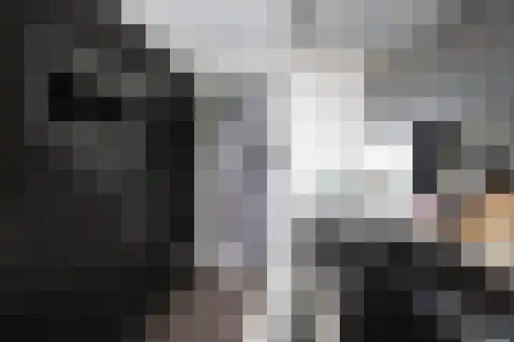 Dries 85 Weert thumbnail 12