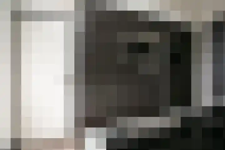 Dries 85 Weert thumbnail 13