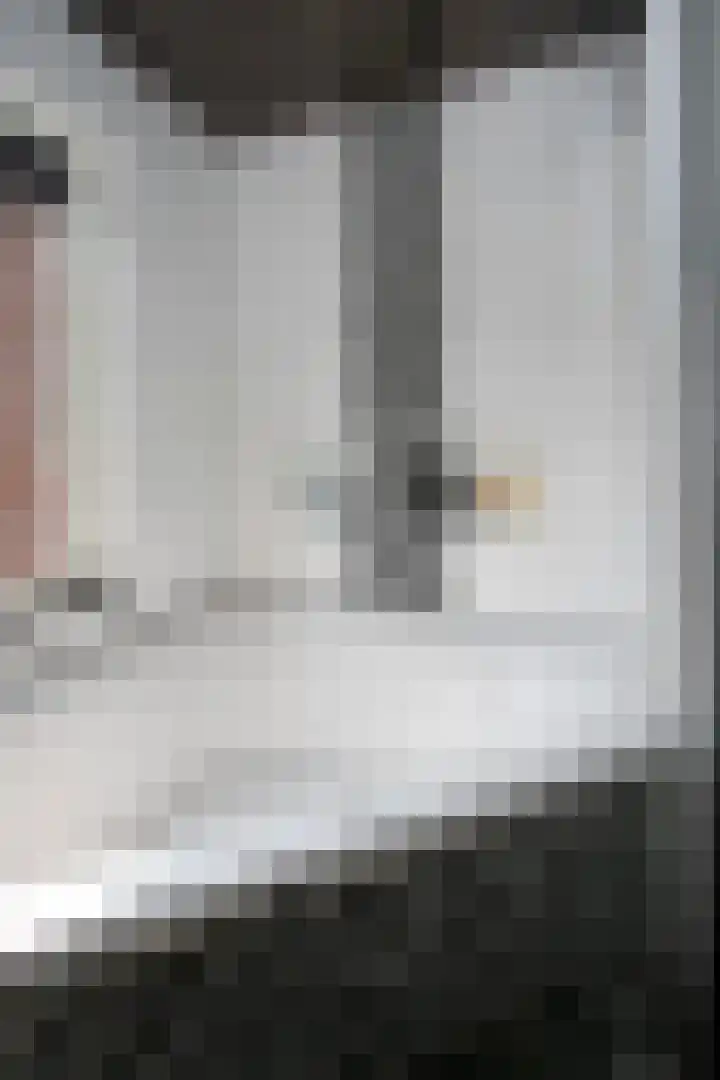 Dries 85 Weert thumbnail 19