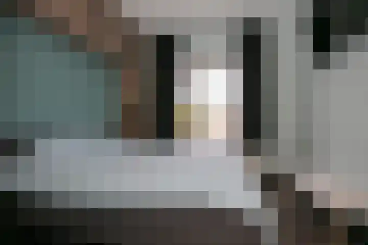 Dries 85 Weert thumbnail 22