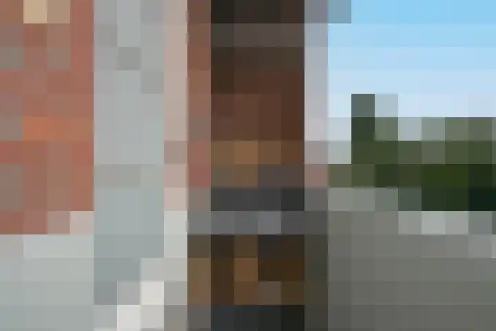 Dries 85 Weert thumbnail 24