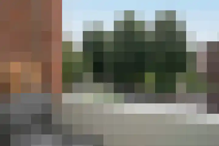 Dries 85 Weert thumbnail 25