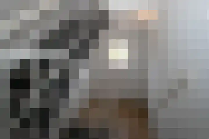 Dries 85 Weert thumbnail 27