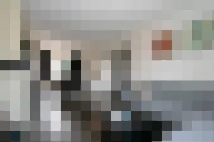 Dries 85 Weert thumbnail 5