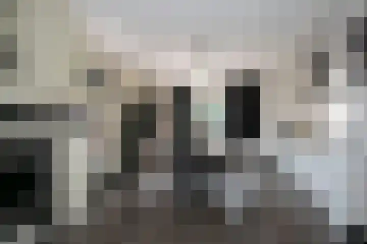 Dries 85 Weert thumbnail 6