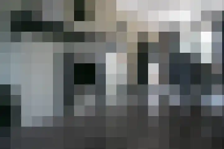 Dries 85 Weert thumbnail 7