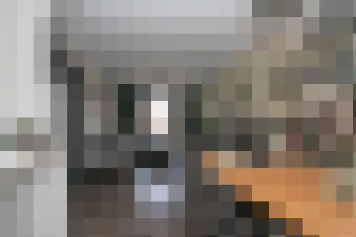 Dries 85 Weert thumbnail 8