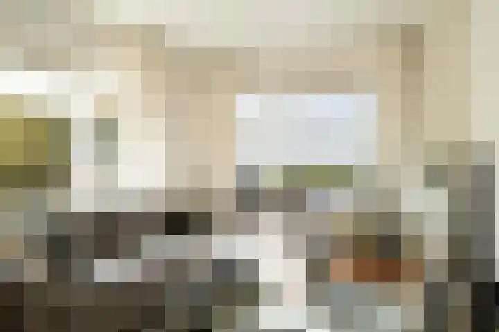 Dries 91 Weert thumbnail 12