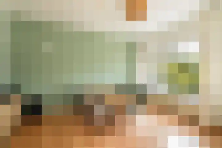 Dries 91 Weert thumbnail 14