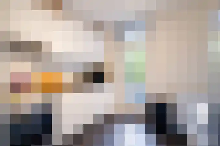 Dries 91 Weert thumbnail 16