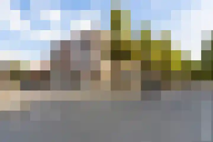 Dries 91 Weert thumbnail 25