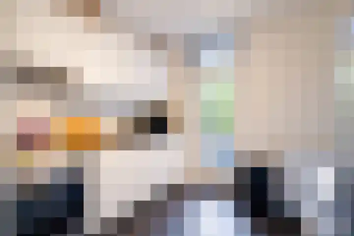 Dries 91 Weert thumbnail 4