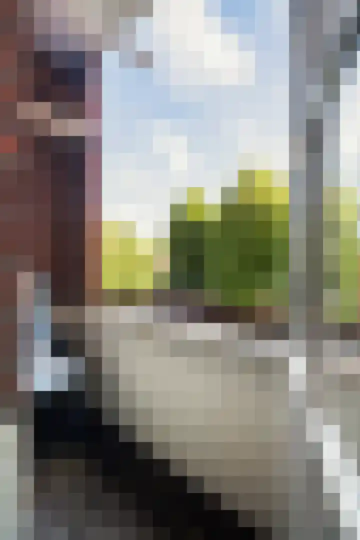 Dries 91 Weert thumbnail 5