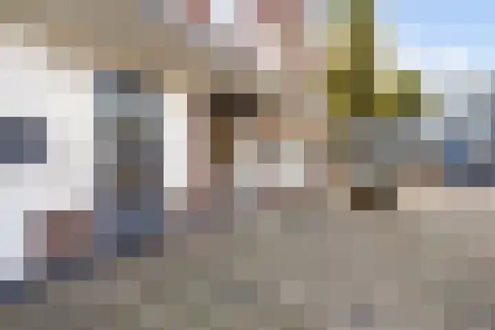 Dries 91 Weert thumbnail 8