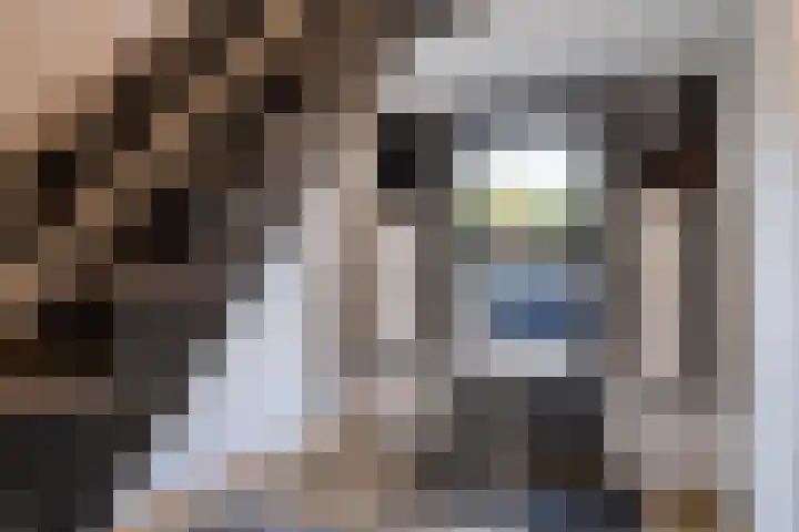 Dries 91 Weert thumbnail 9