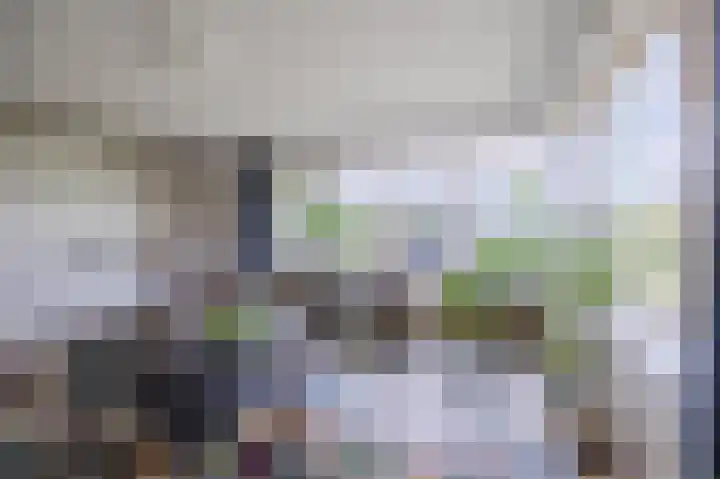 Dries van der Vlerkstraat 111 Rotterdam thumbnail 12