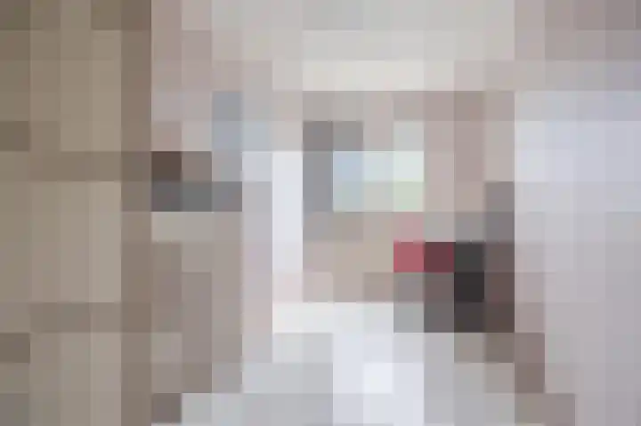 Dries van der Vlerkstraat 111 Rotterdam thumbnail 18