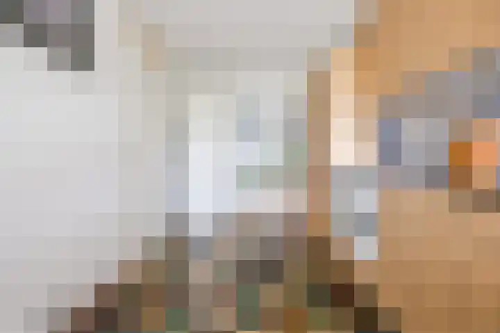 Dries van der Vlerkstraat 111 Rotterdam thumbnail 23