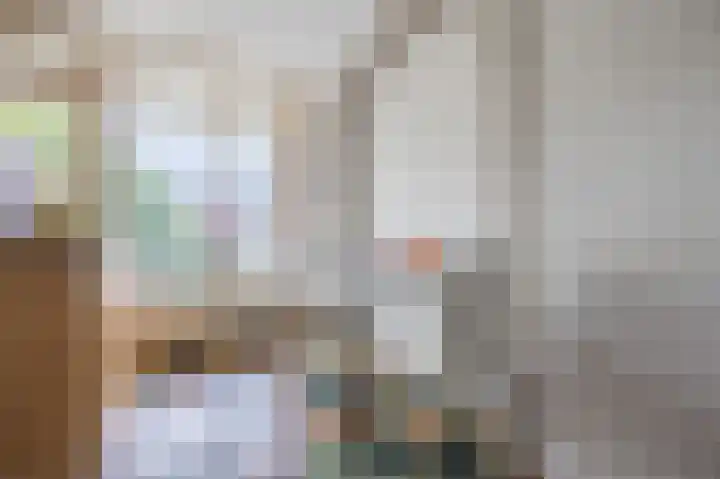 Dries van der Vlerkstraat 111 Rotterdam thumbnail 26