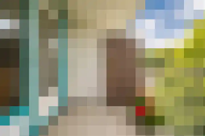Dries van der Vlerkstraat 111 Rotterdam thumbnail 27