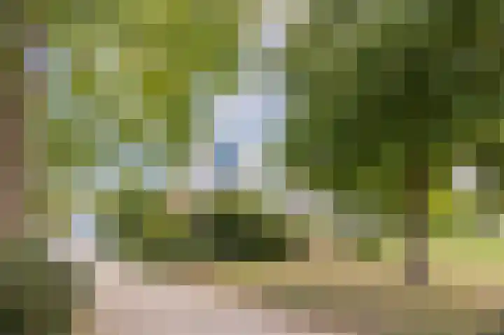 Dries van der Vlerkstraat 111 Rotterdam thumbnail 33