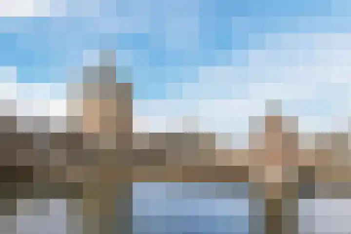 Dries van der Vlerkstraat 111 Rotterdam thumbnail 36