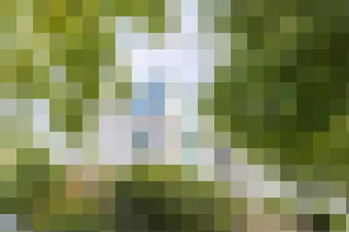 Dries van der Vlerkstraat 111 Rotterdam thumbnail 4