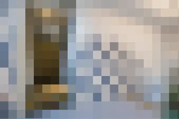 Dries van der Vlerkstraat 111 Rotterdam thumbnail 8