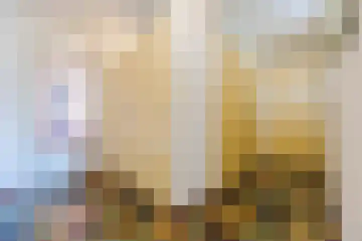 Dries van der Vlerkstraat 111 Rotterdam thumbnail 9