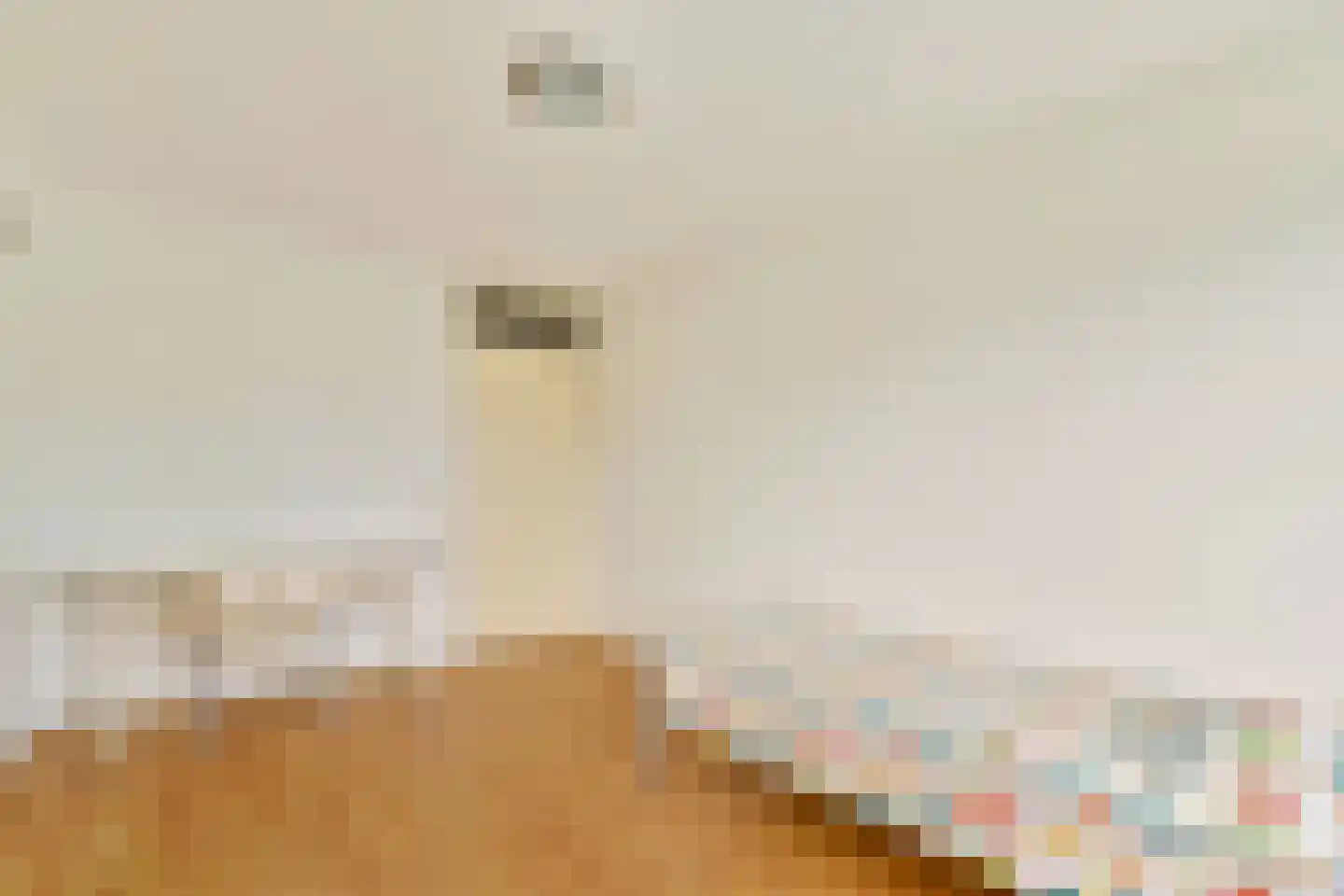 Dries van der Vlerkstraat 14 Rotterdam thumbnail 22