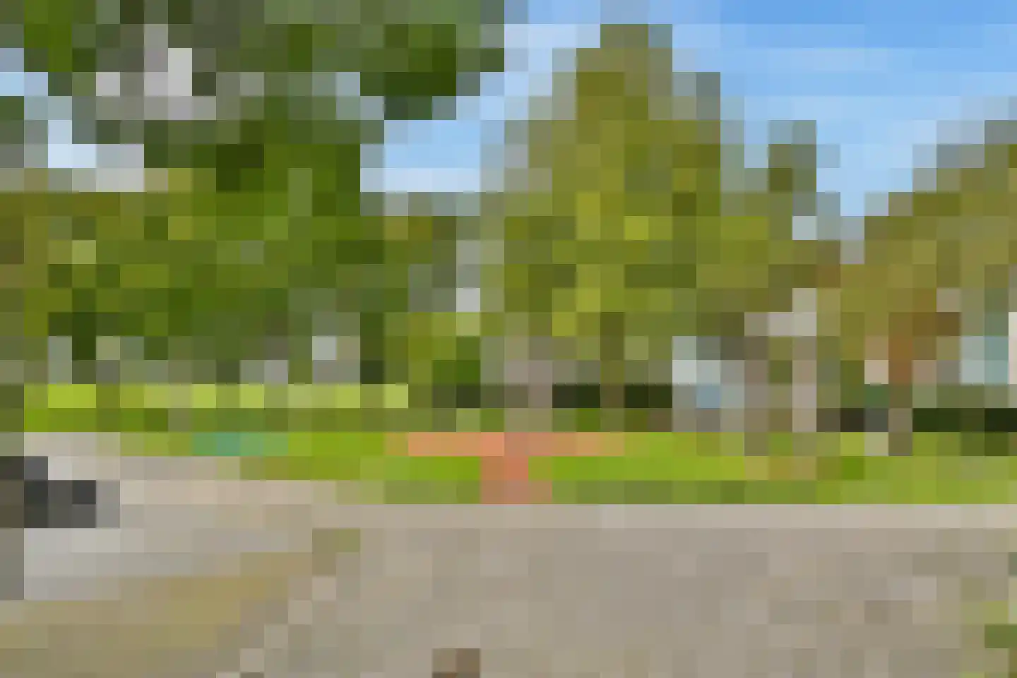Dries van der Vlerkstraat 14 Rotterdam thumbnail 31