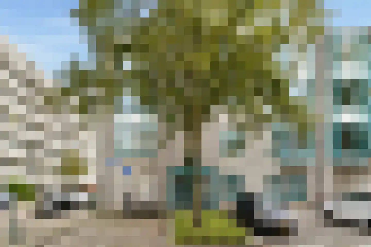 Dries van der Vlerkstraat 14 Rotterdam thumbnail 6