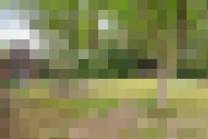 Drieschichtsweg 6 Mander thumbnail 10
