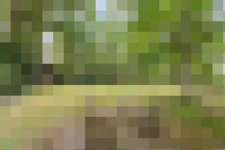 Drieschichtsweg 6 Mander thumbnail 11