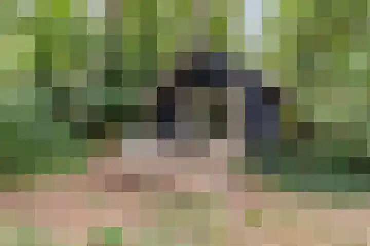 Drieschichtsweg 6 Mander thumbnail 12
