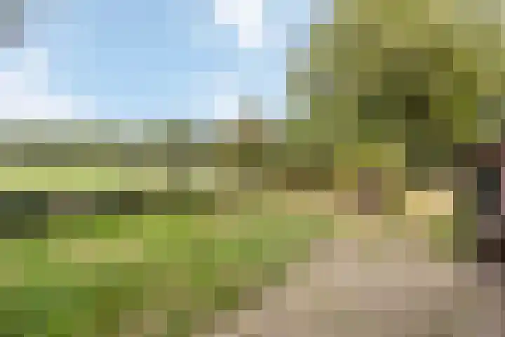 Drieschichtsweg 6 Mander thumbnail 14