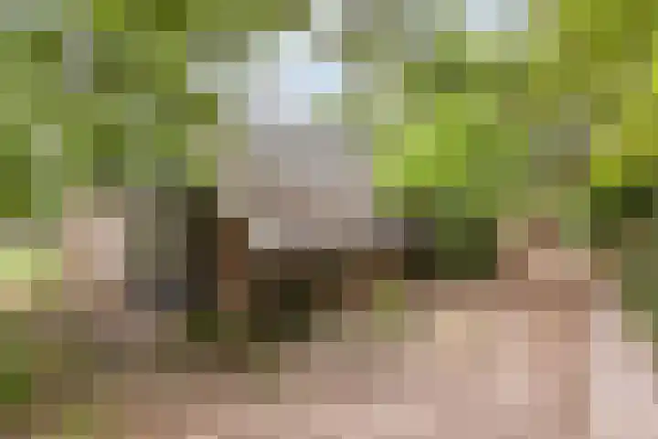 Drieschichtsweg 6 Mander thumbnail 15