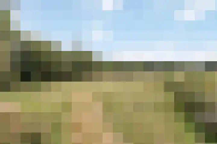 Drieschichtsweg 6 Mander thumbnail 16