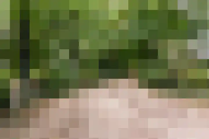 Drieschichtsweg 6 Mander thumbnail 17