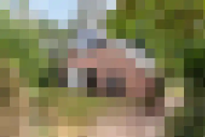 Drieschichtsweg 6 Mander thumbnail 9
