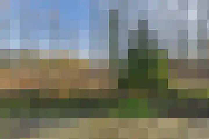 Drieschouwen 13 Axel thumbnail 39