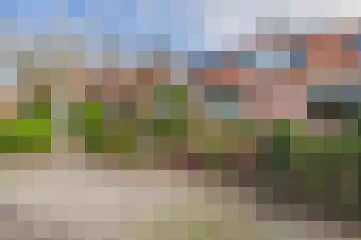 Drieschouwen 13 Axel thumbnail 41