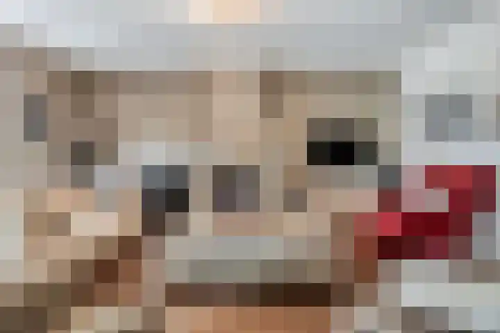 Drieseegt 1 Erp thumbnail 13