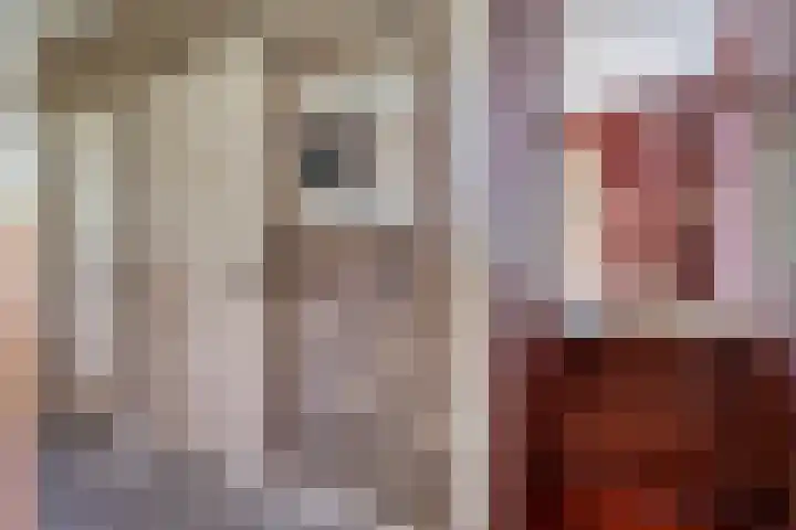 Drieseegt 1 Erp thumbnail 22