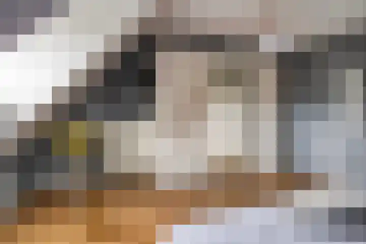 Drieseegt 1 Erp thumbnail 31