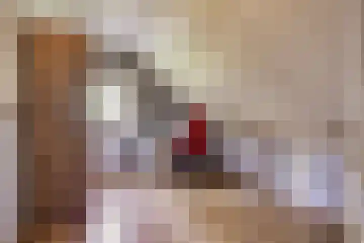 Drieseegt 1 Erp thumbnail 42