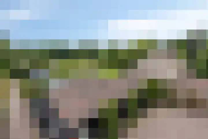 Drieseegt 1 Erp thumbnail 45