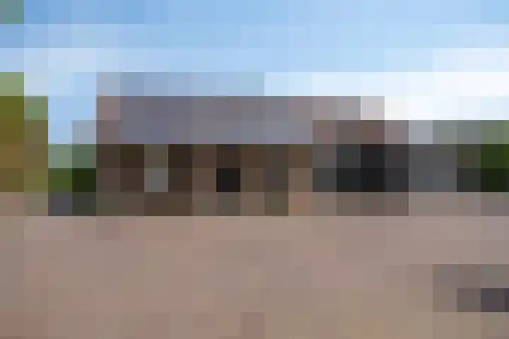 Drieseegt 1 Erp thumbnail 46