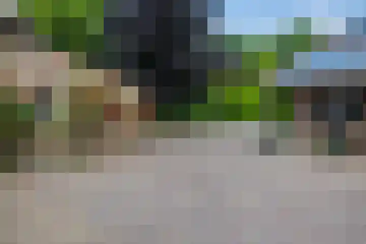 Drieseegt 1 Erp thumbnail 45